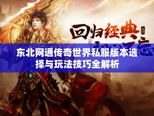 东北网通传奇世界私服版本选择与玩法技巧全解析 东北网通传奇世界私服版本选择与玩法技巧全解析