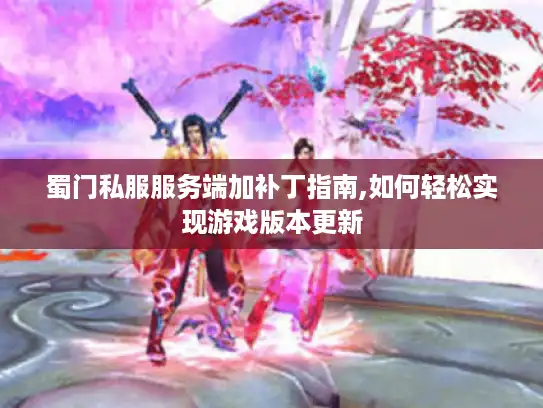 蜀门私服服务端加补丁指南,如何轻松实现游戏版本更新