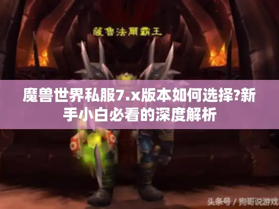 魔兽世界私服7.x版本如何选择?新手小白必看的深度解析