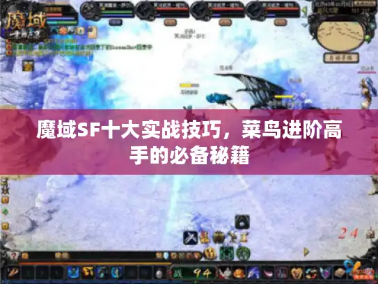 魔域SF十大实战技巧，菜鸟进阶高手的必备秘籍