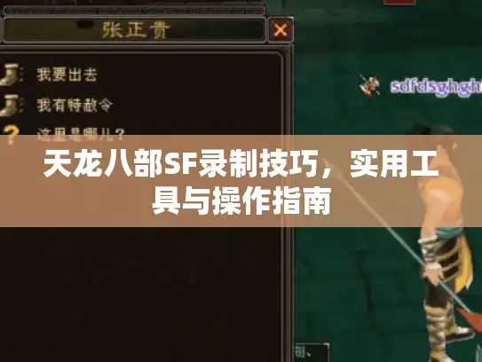 天龙八部SF录制技巧，实用工具与操作指南