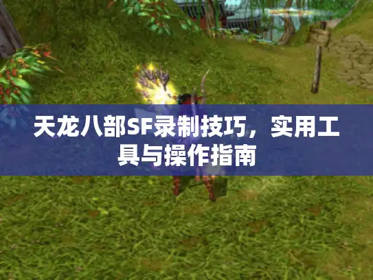 天龙八部SF录制技巧，实用工具与操作指南