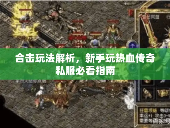 合击玩法解析，新手玩热血传奇私服必看指南