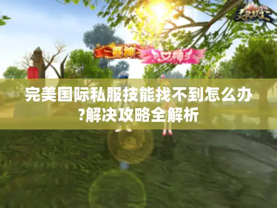 完美国际私服技能找不到怎么办?解决攻略全解析