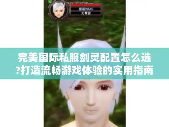 完美国际私服剑灵配置怎么选?打造流畅游戏体验的实用指南