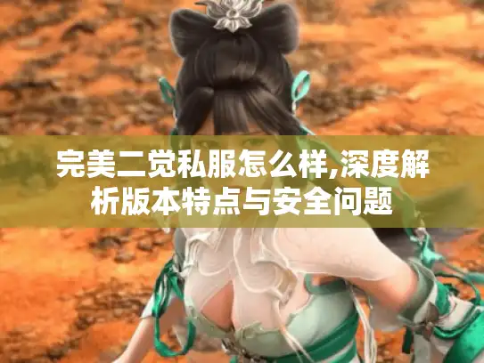 完美二觉私服怎么样,深度解析版本特点与安全问题