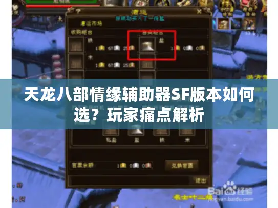 天龙八部情缘辅助器SF版本如何选？玩家痛点解析