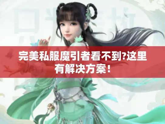 完美私服魔引者看不到?这里有解决方案! 完美私服魔引者看不到?这里有解决方案!