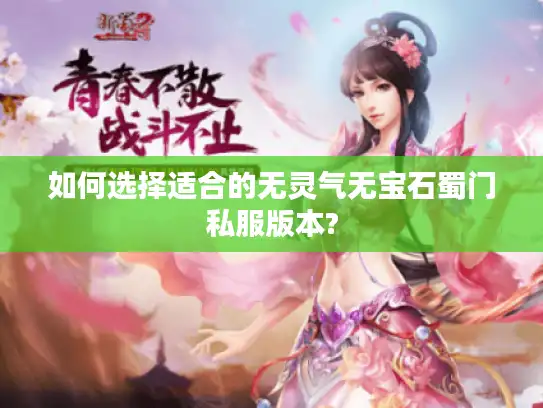 如何选择适合的无灵气无宝石蜀门私服版本?
