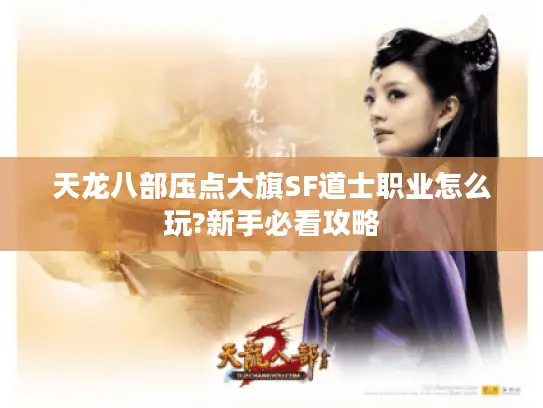 天龙八部压点大旗SF道士职业怎么玩?新手必看攻略