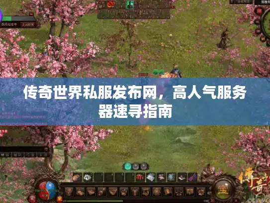 传奇世界私服发布网，高人气服务器速寻指南