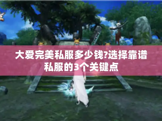 大爱完美私服多少钱?选择靠谱私服的3个关键点