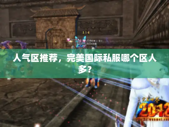 人气区推荐，完美国际私服哪个区人多？