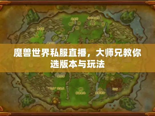 魔兽世界私服直播，大师兄教你选版本与玩法