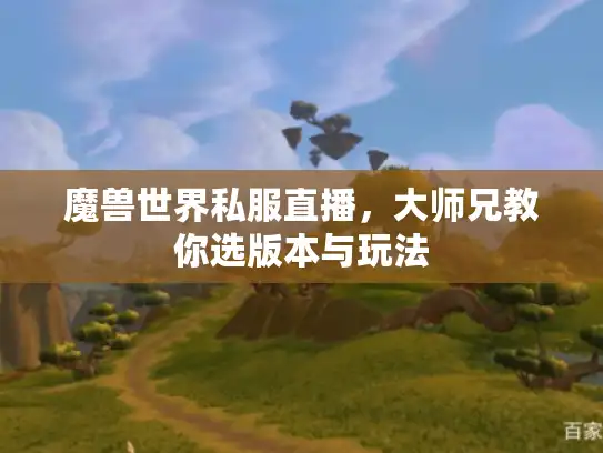 魔兽世界私服直播，大师兄教你选版本与玩法