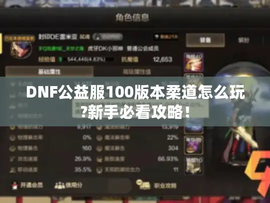 DNF公益服100版本柔道怎么玩?新手必看攻略！