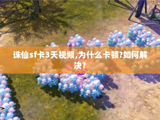诛仙sf卡3天视频,为什么卡顿?如何解决?