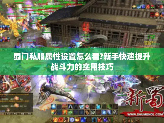 蜀门私服属性设置怎么看?新手快速提升战斗力的实用技巧