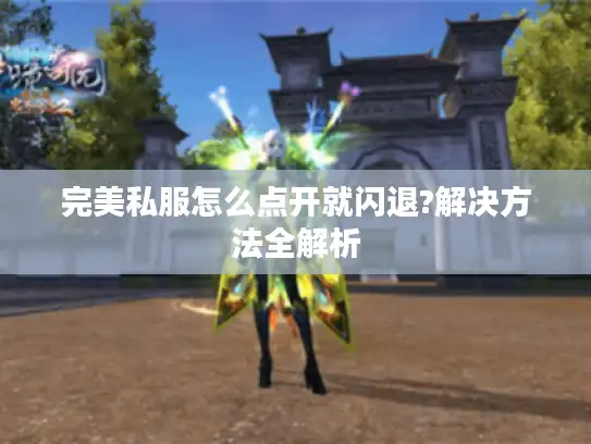 完美私服怎么点开就闪退?解决方法全解析