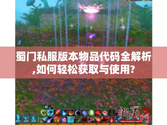 蜀门私服版本物品代码全解析,如何轻松获取与使用?