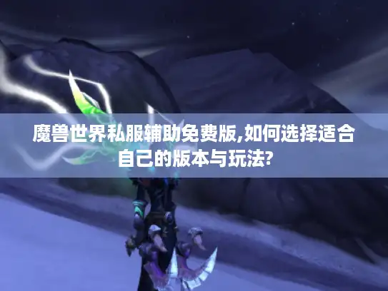 魔兽世界私服辅助免费版,如何选择适合自己的版本与玩法?