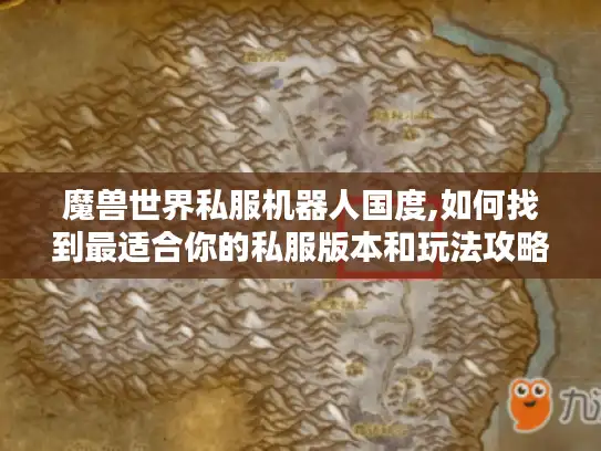 魔兽世界私服机器人国度,如何找到最适合你的私服版本和玩法攻略?