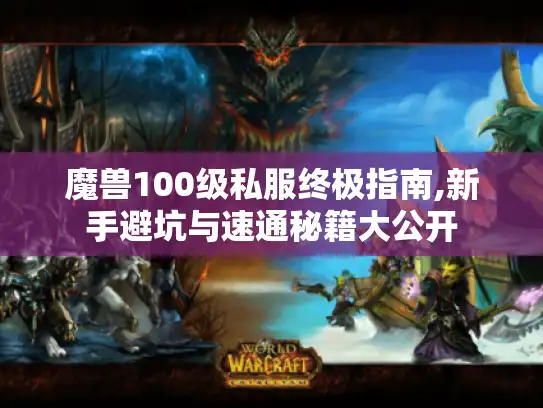 魔兽100级私服终极指南,新手避坑与速通秘籍大公开