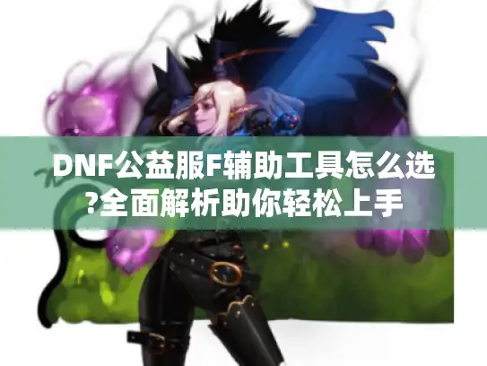 DNF公益服F辅助工具怎么选?全面解析助你轻松上手