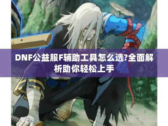 DNF公益服F辅助工具怎么选?全面解析助你轻松上手