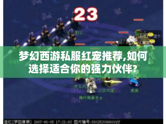 梦幻西游私服红宠推荐,如何选择适合你的强力伙伴? 梦幻西游私服红宠推荐,如何选择适合你的强力伙伴?