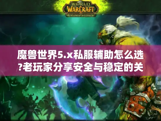 魔兽世界5.x私服辅助怎么选?老玩家分享安全与稳定的关键