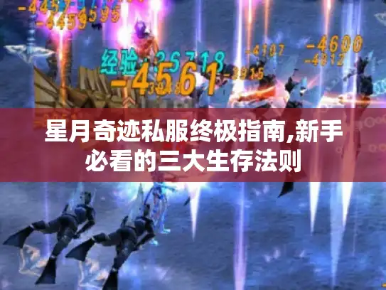 星月奇迹私服终极指南,新手必看的三大生存法则