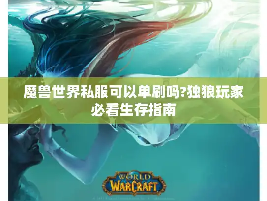 魔兽世界私服可以单刷吗?独狼玩家必看生存指南