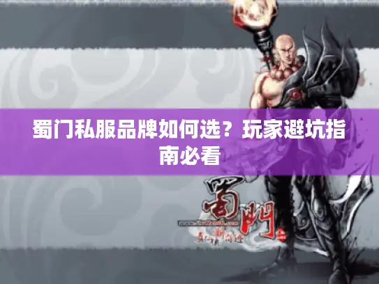 蜀门私服品牌如何选？玩家避坑指南必看