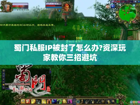 蜀门私服IP被封了怎么办?资深玩家教你三招避坑