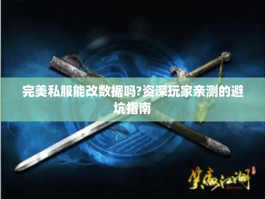 完美私服能改数据吗?资深玩家亲测的避坑指南