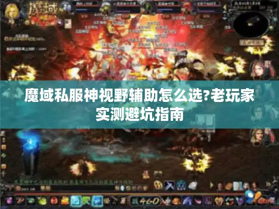 魔域私服神视野辅助怎么选?老玩家实测避坑指南