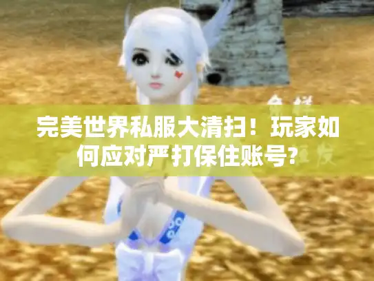完美世界私服大清扫！玩家如何应对严打保住账号?