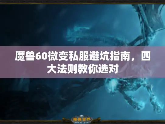 魔兽60微变私服避坑指南，四大法则教你选对