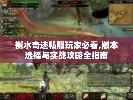 衡水奇迹私服玩家必看,版本选择与实战攻略全指南