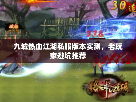 九城热血江湖私服版本实测，老玩家避坑推荐