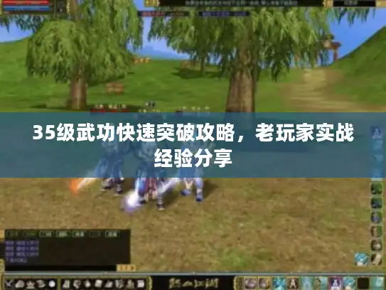 35级武功快速突破攻略，老玩家实战经验分享