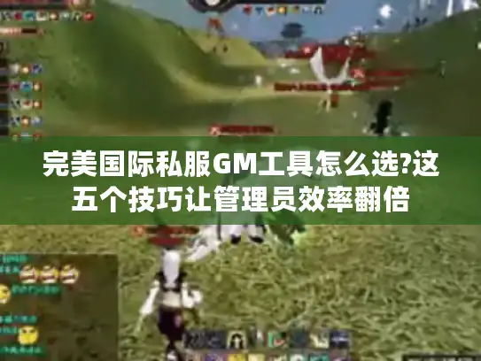 完美国际私服GM工具怎么选?这五个技巧让管理员效率翻倍