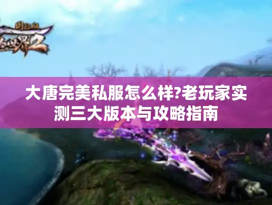 大唐完美私服怎么样?老玩家实测三大版本与攻略指南