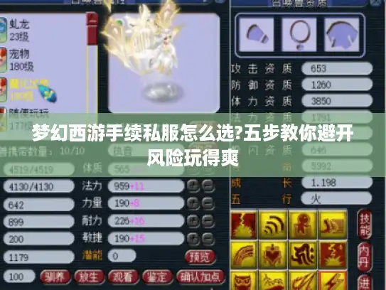 梦幻西游手续私服怎么选?五步教你避开风险玩得爽 梦幻西游手续私服怎么选?五步教你避开风险玩得爽