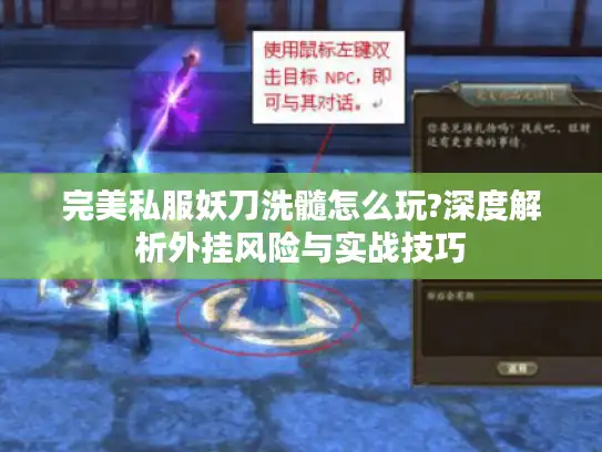 完美私服妖刀洗髓怎么玩?深度解析外挂风险与实战技巧