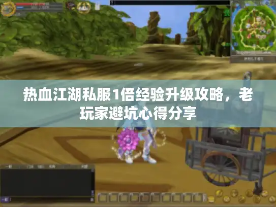 热血江湖私服1倍经验升级攻略，老玩家避坑心得分享