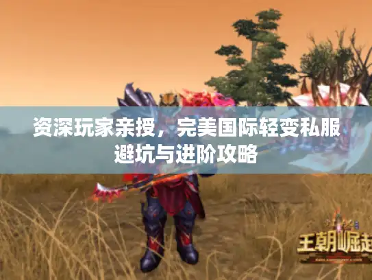 资深玩家亲授，完美国际轻变私服避坑与进阶攻略