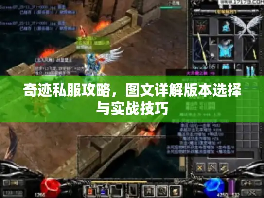 奇迹私服攻略，图文详解版本选择与实战技巧