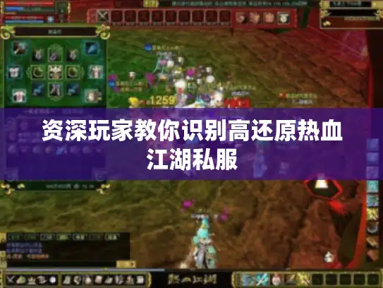 资深玩家教你识别高还原热血江湖私服